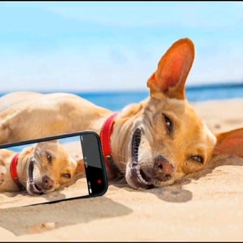 龙卷疯🌪️🌪️