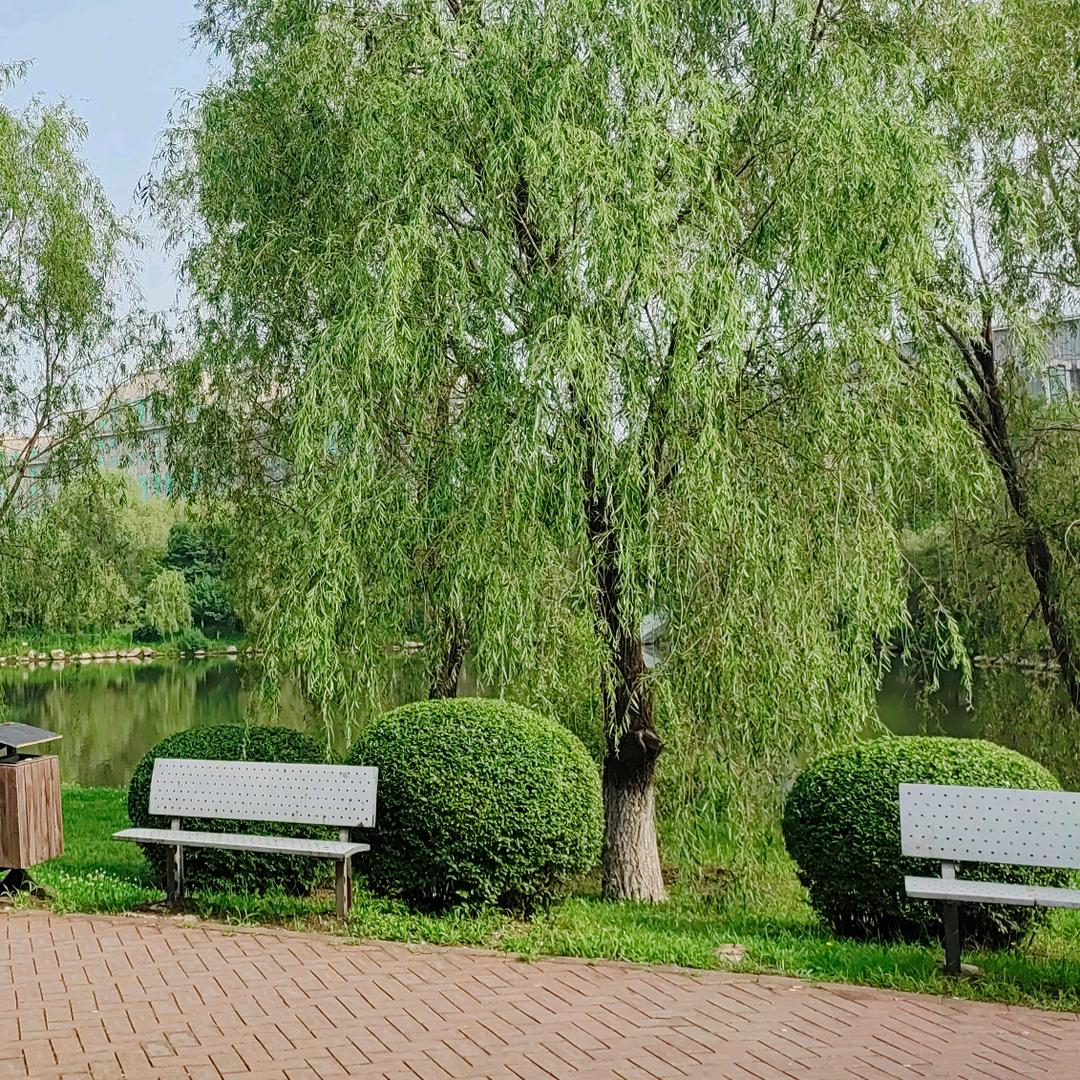 江湖