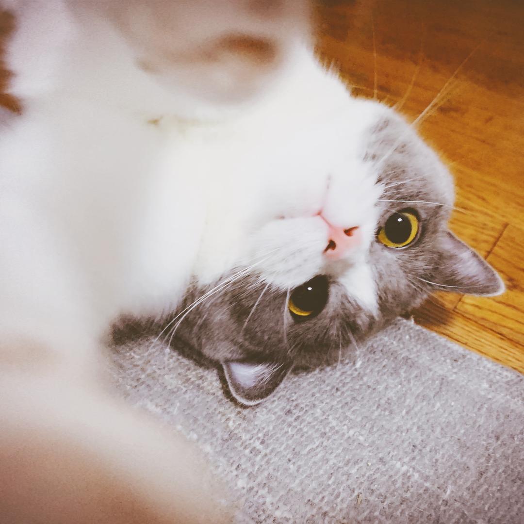CASPER