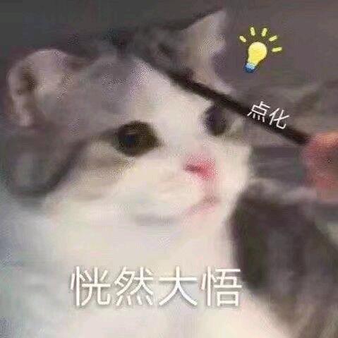 无糖全麦面包