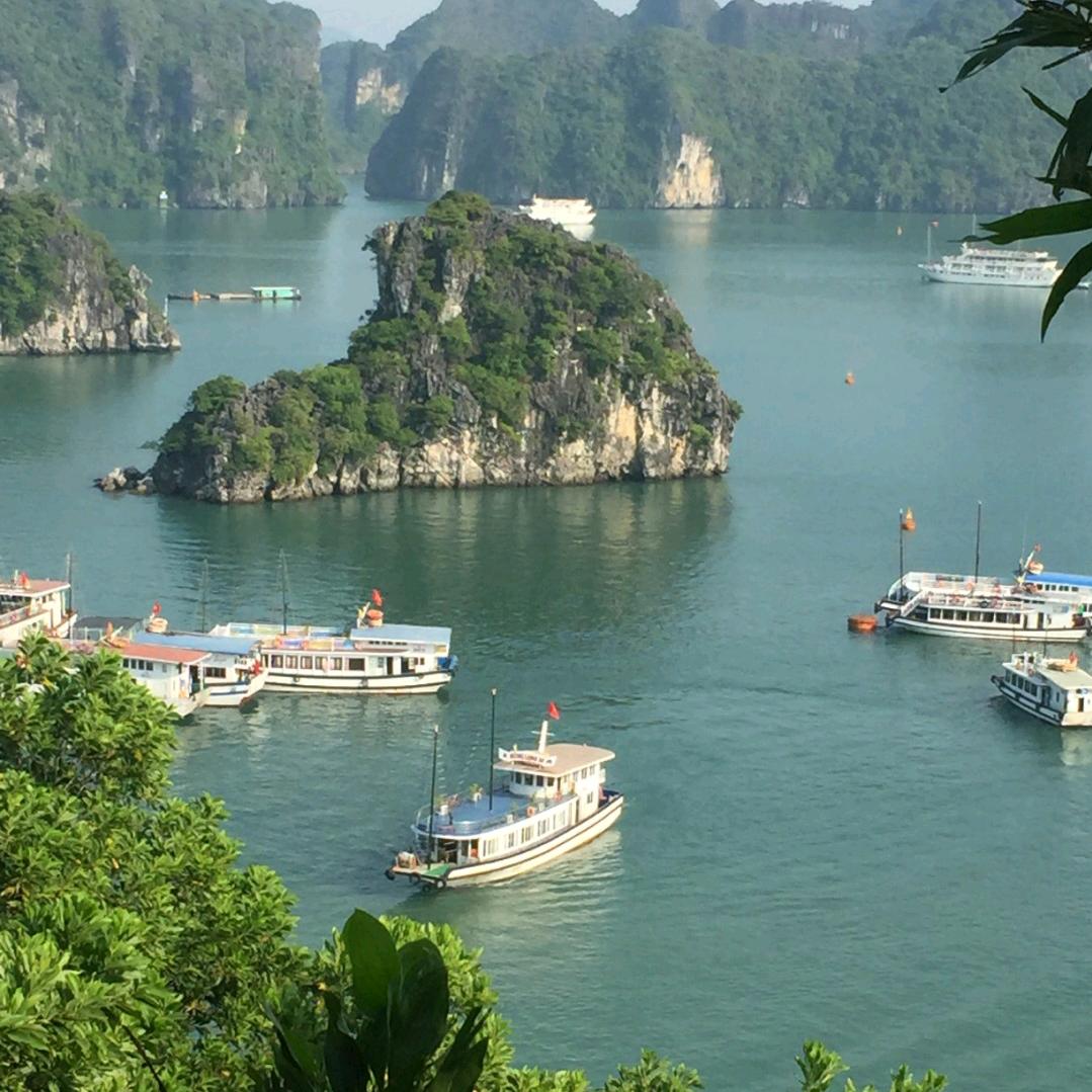 爱钓鱼的李大哥