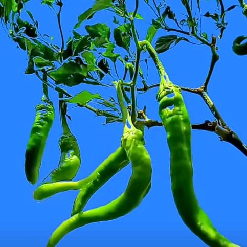 微风不燥，余生安好