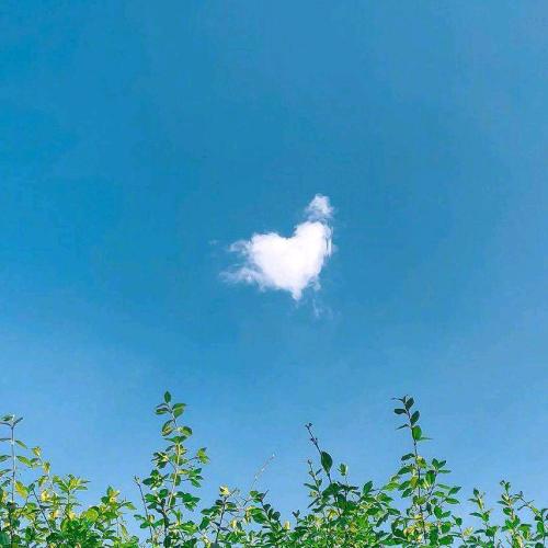 温柔月光