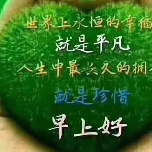人生只如初见