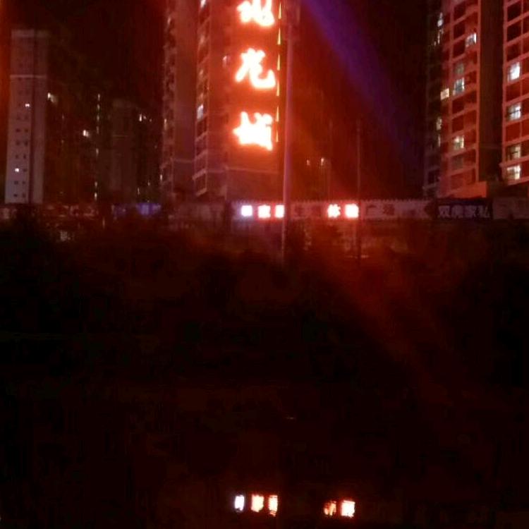 龙世进