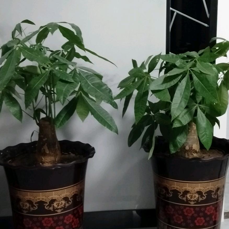 温心温馨