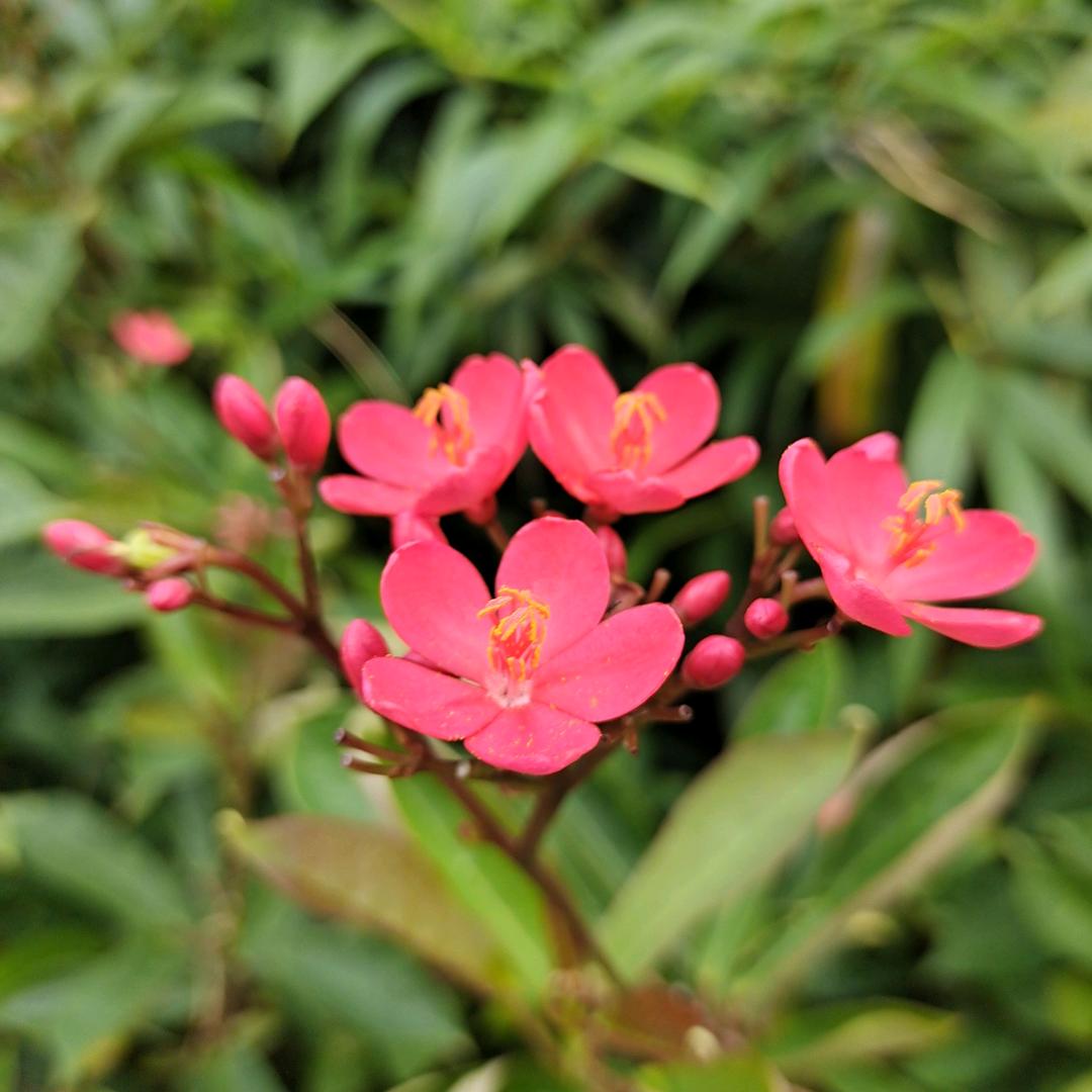 🥀ꦿ顺其ꦿ自ᮩ້然ᮨ້໌ꦿꦁ