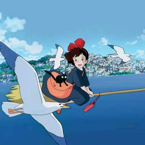 沾益区罗木金升农资经营部聂艳清