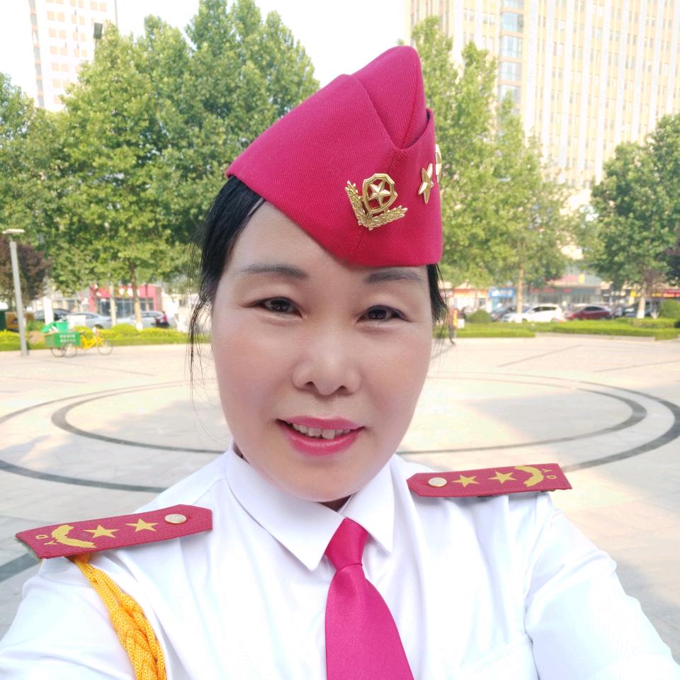 南飞的雁