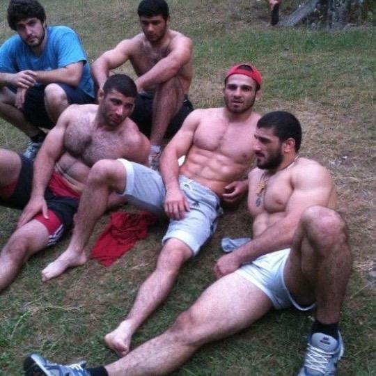 muscledaily