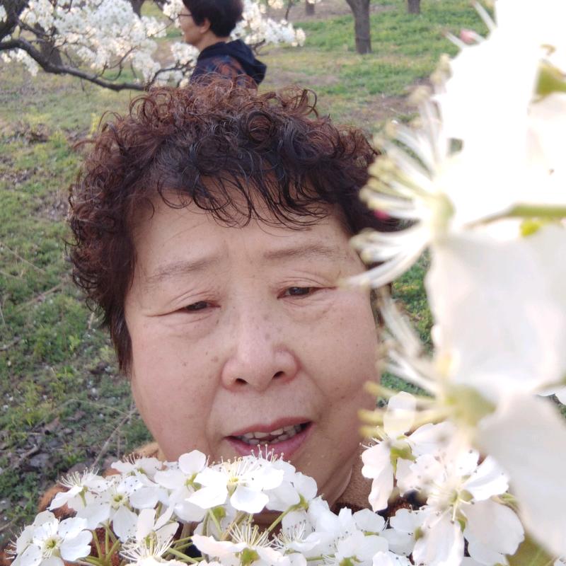 彦旭姥姥
