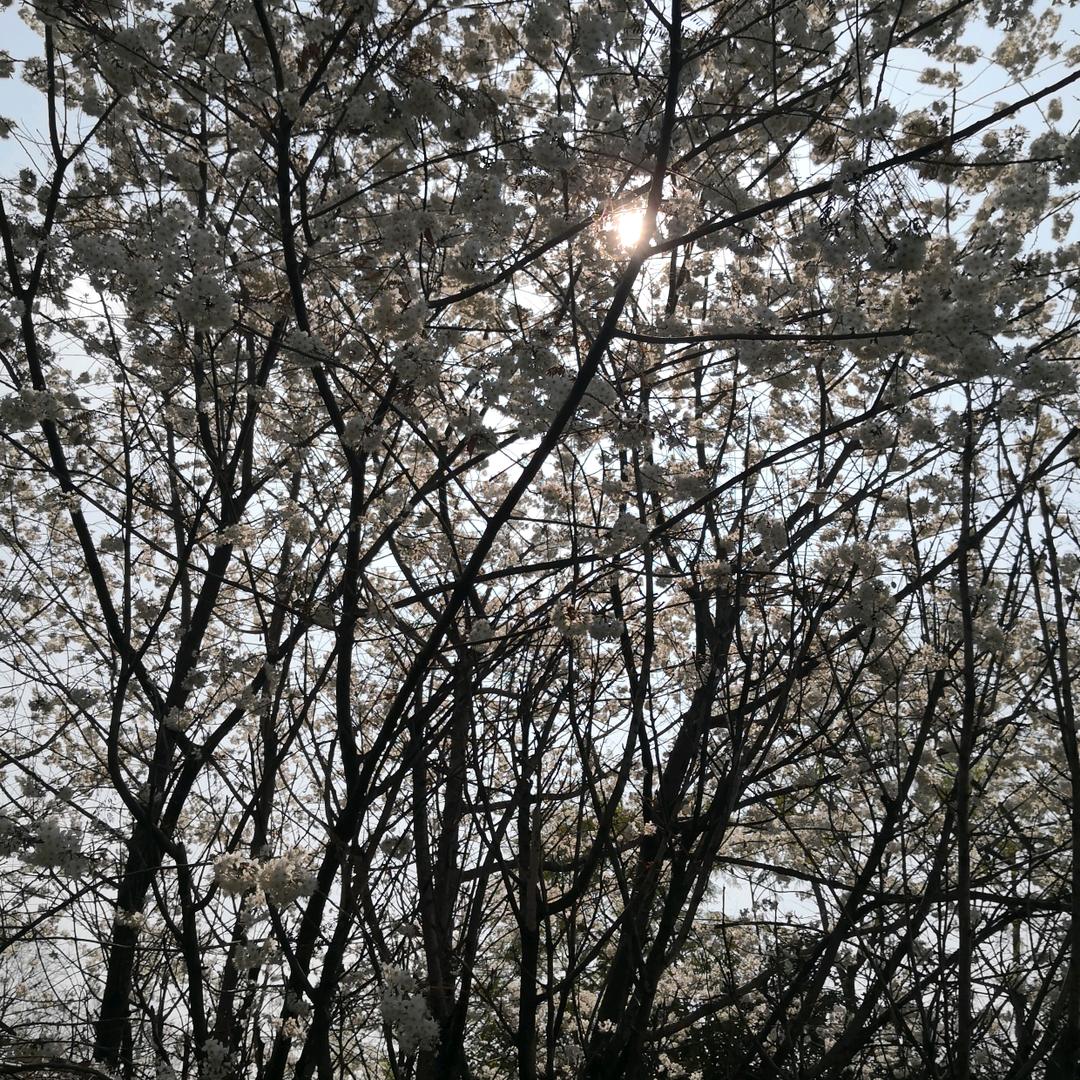 王春利