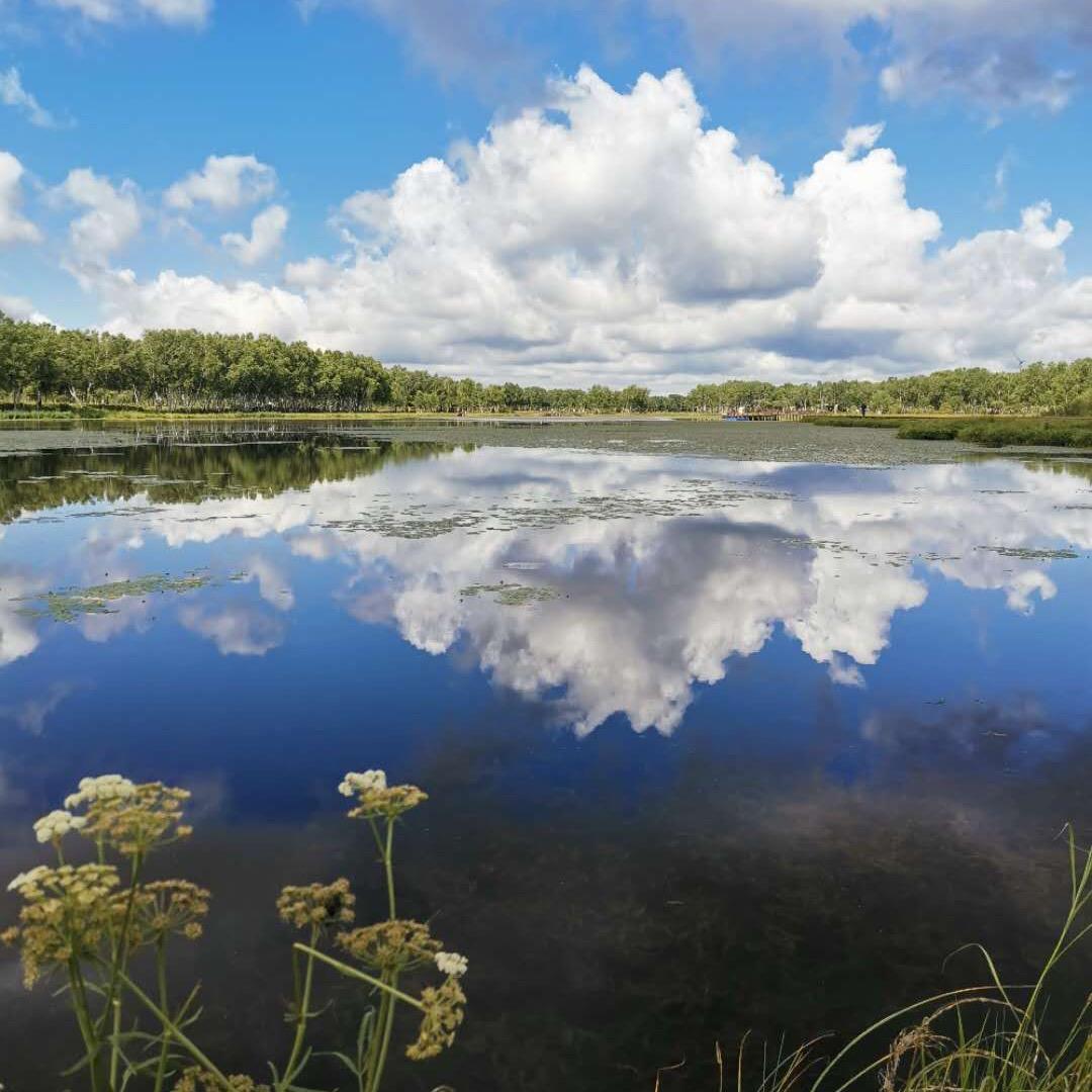 ♥️青梅雨♥️