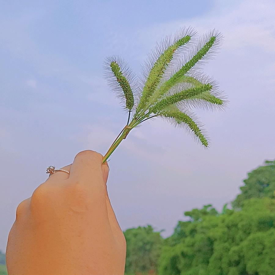 开心的小姐姐
