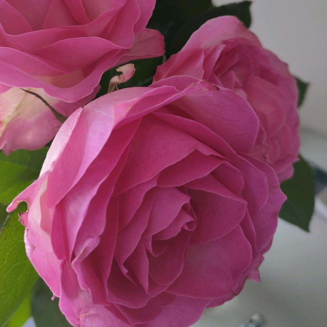 用户3938635007992友姐