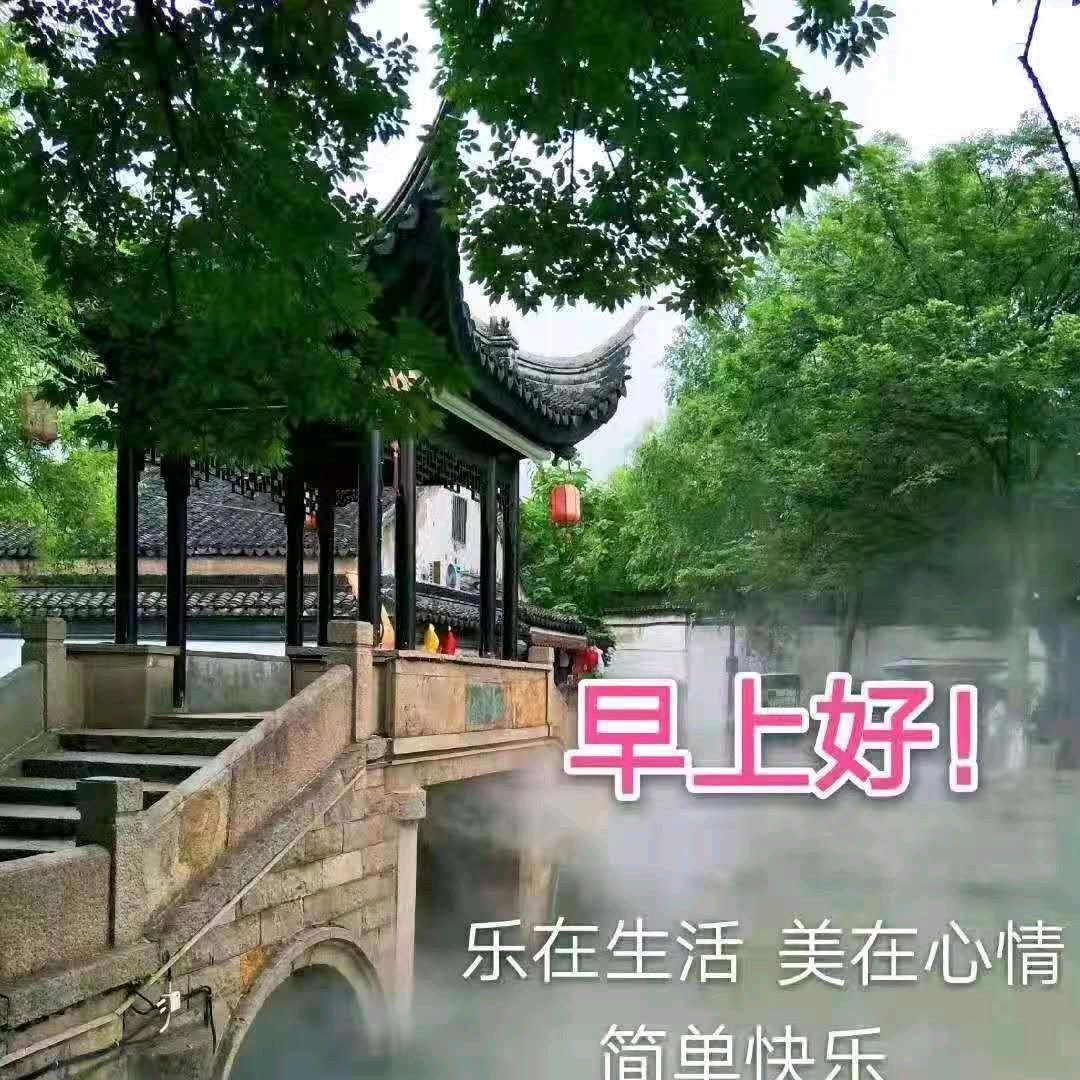 雾里看花