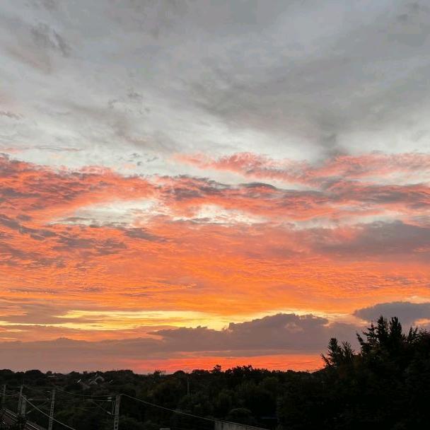 “何其有幸 年岁并进”
