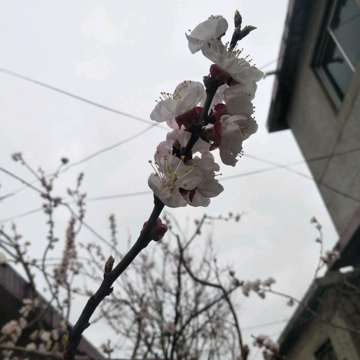 莫闲