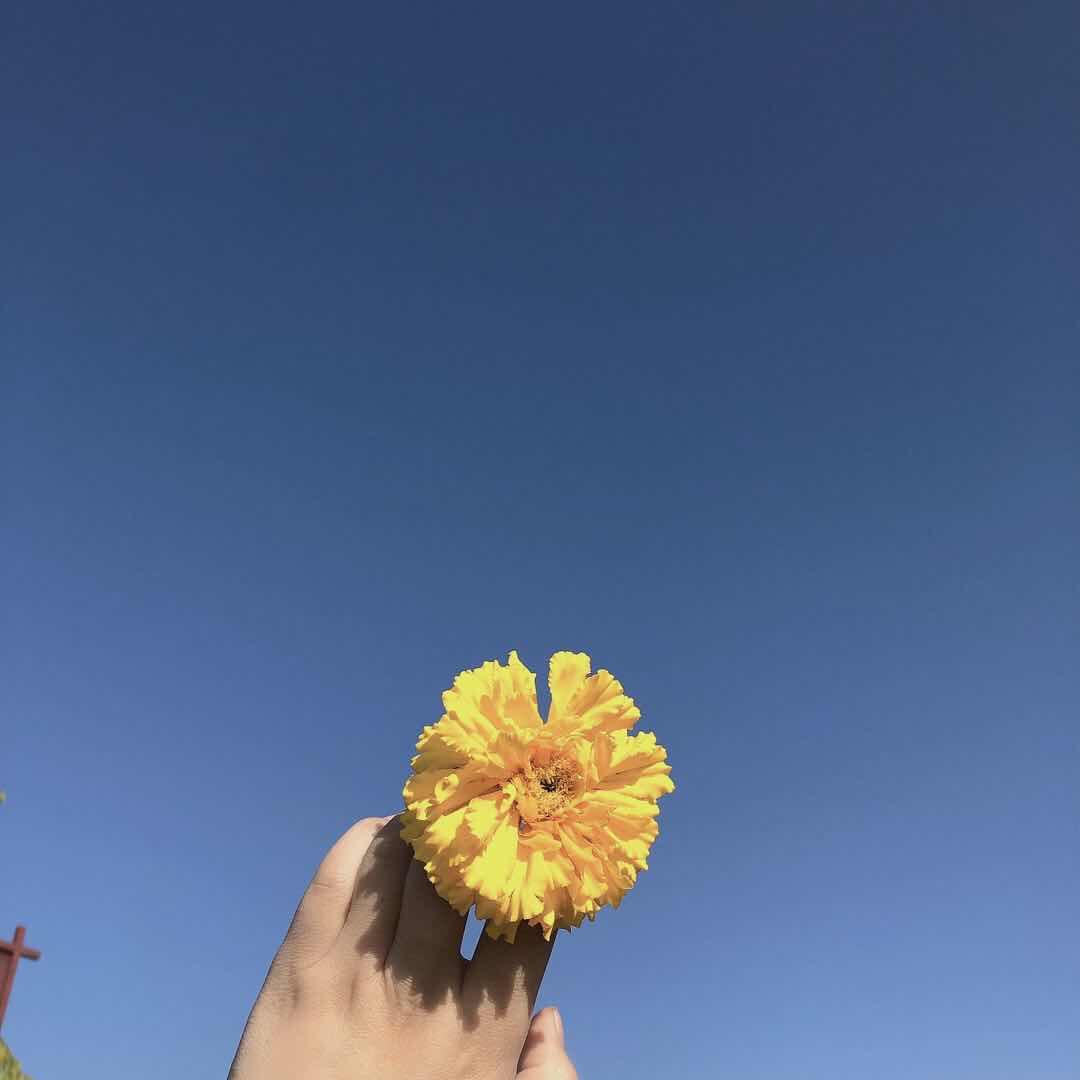 安小懒
