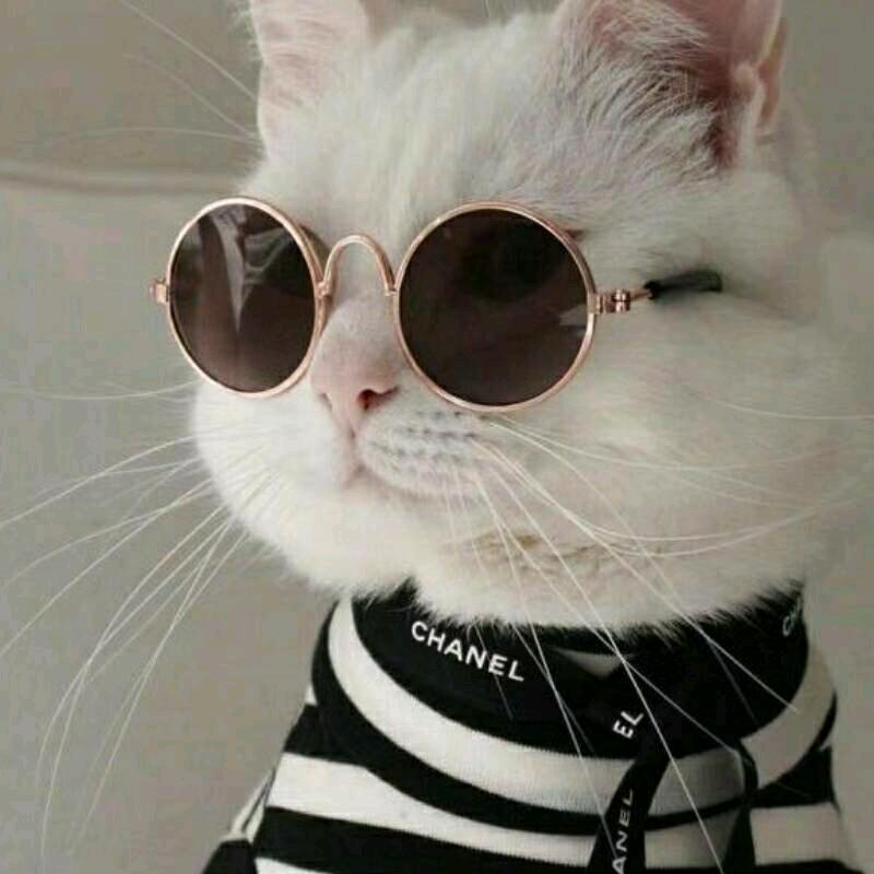 今生有袁