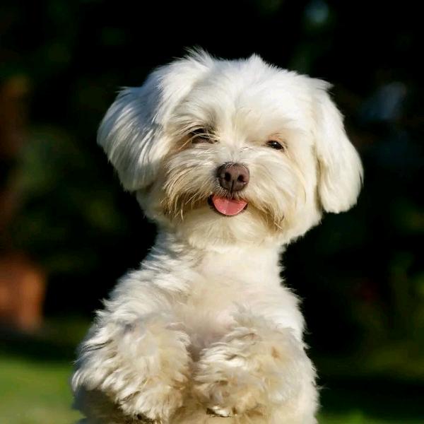 开开心心每一天！