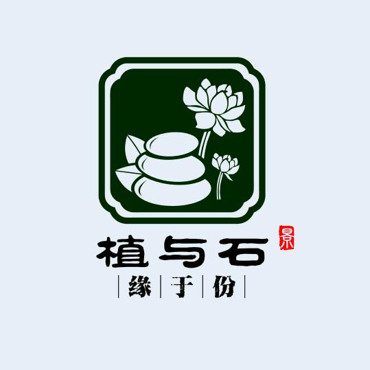 植与石金弹子盆景