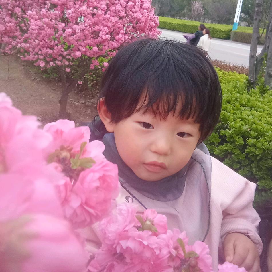 伽儿