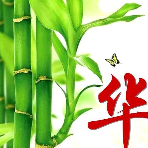 给力