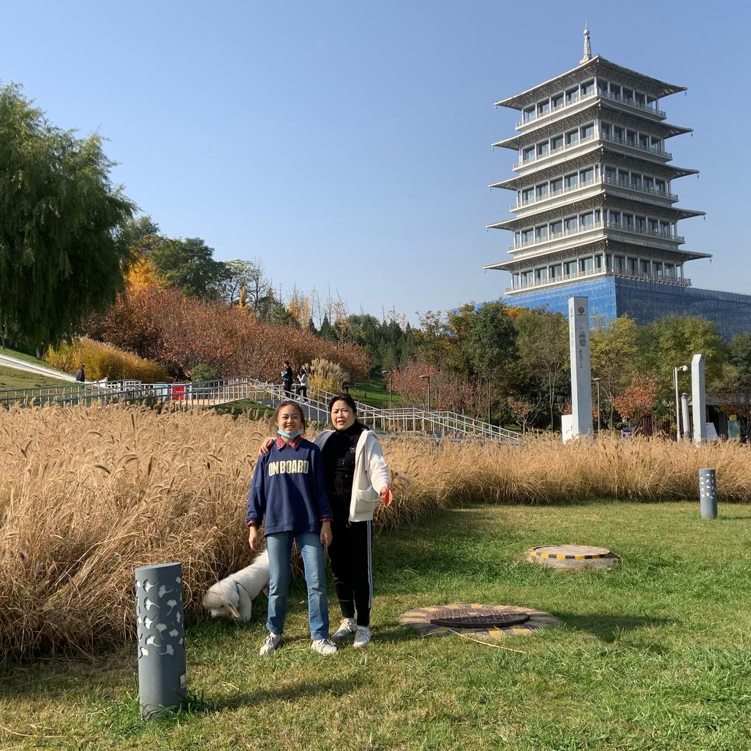铁城物流，西安至青岛，天津，上海港口