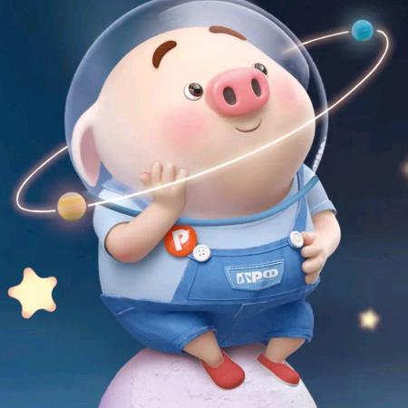 笨小🐷