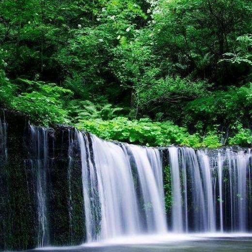 健康快乐每一天