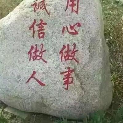 农家牛肉（土黄牛）