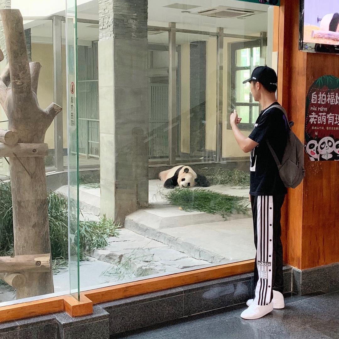 大徐