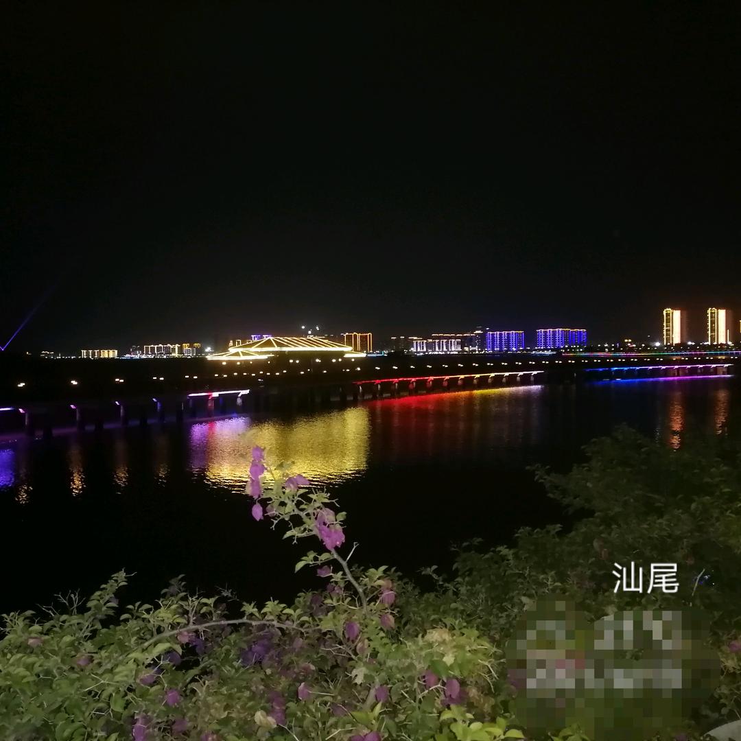 与你飞翔9899