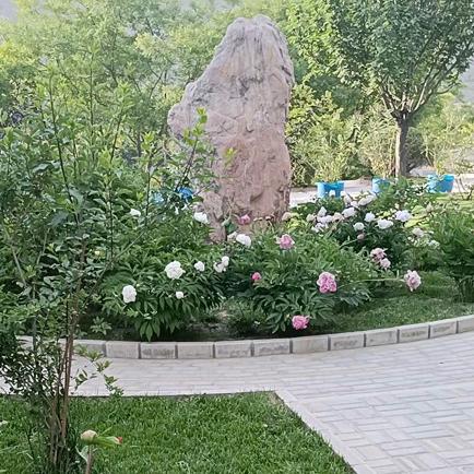 恭喜发财平安健康鸿运当头