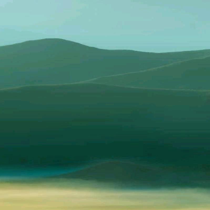 T恤先生（才子）