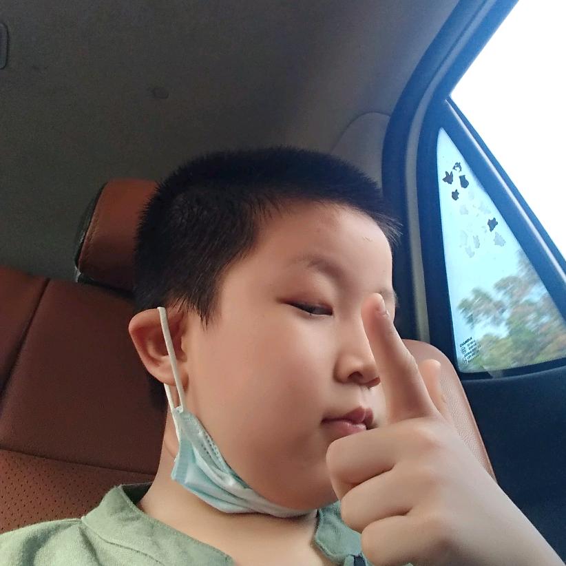 胖