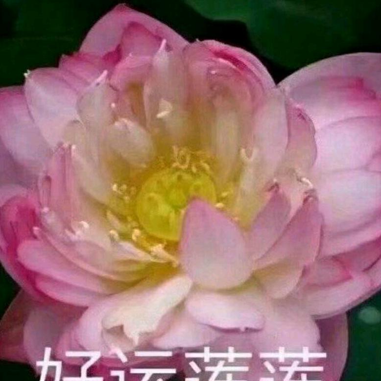 信
