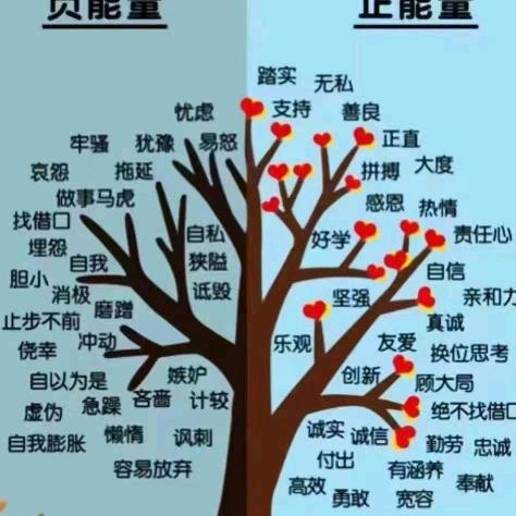 扬帆起航
