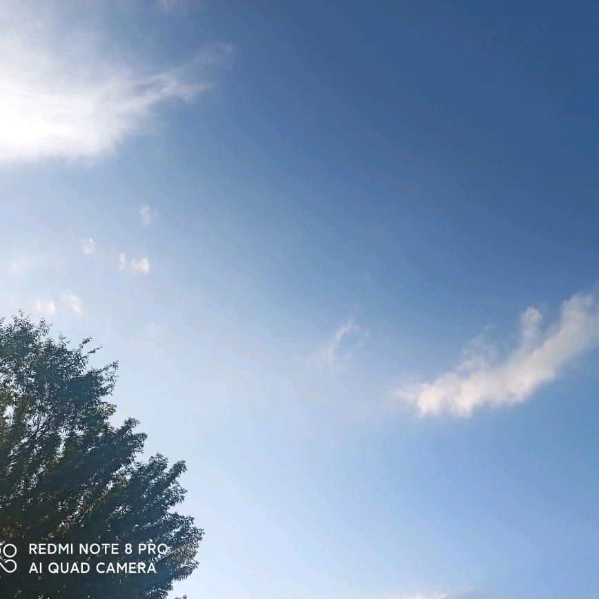 ⁵²º᭄ꦿ吴🎀⅓¼