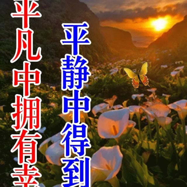 淘云