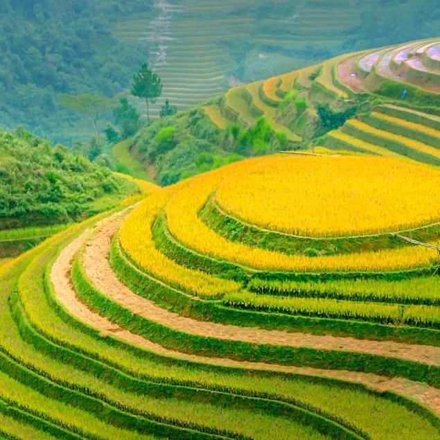 奋斗小伙