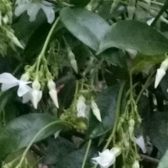 一帆风顺🇨🇳