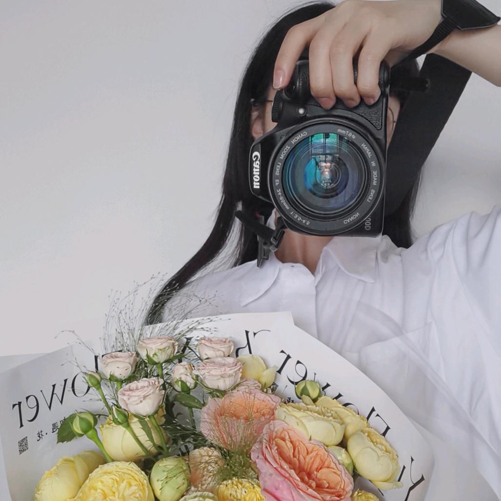 小羊驼