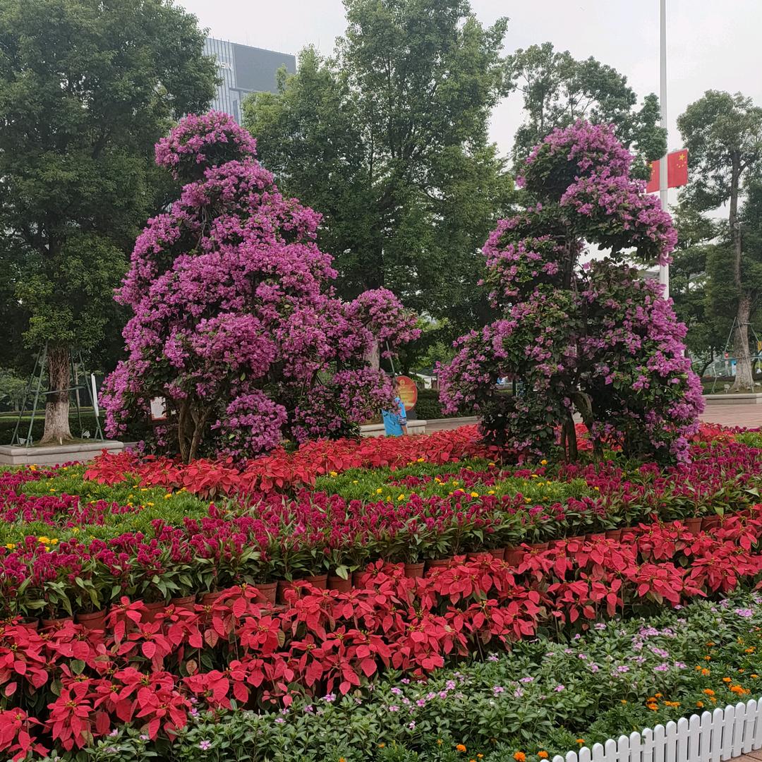 生命是一场旅途