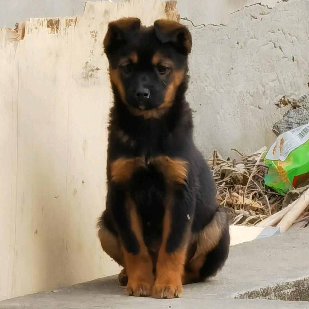 天路天路天路上