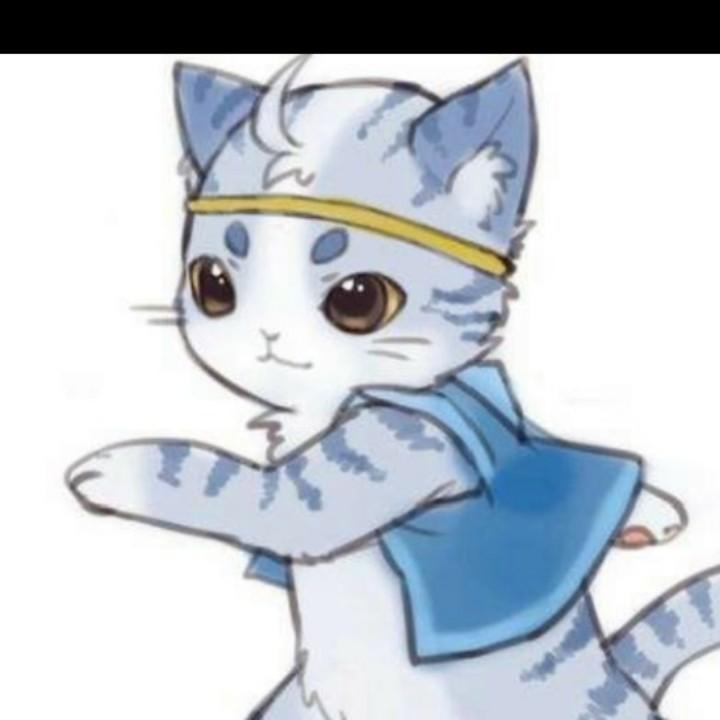 爱玩闹的小花猫