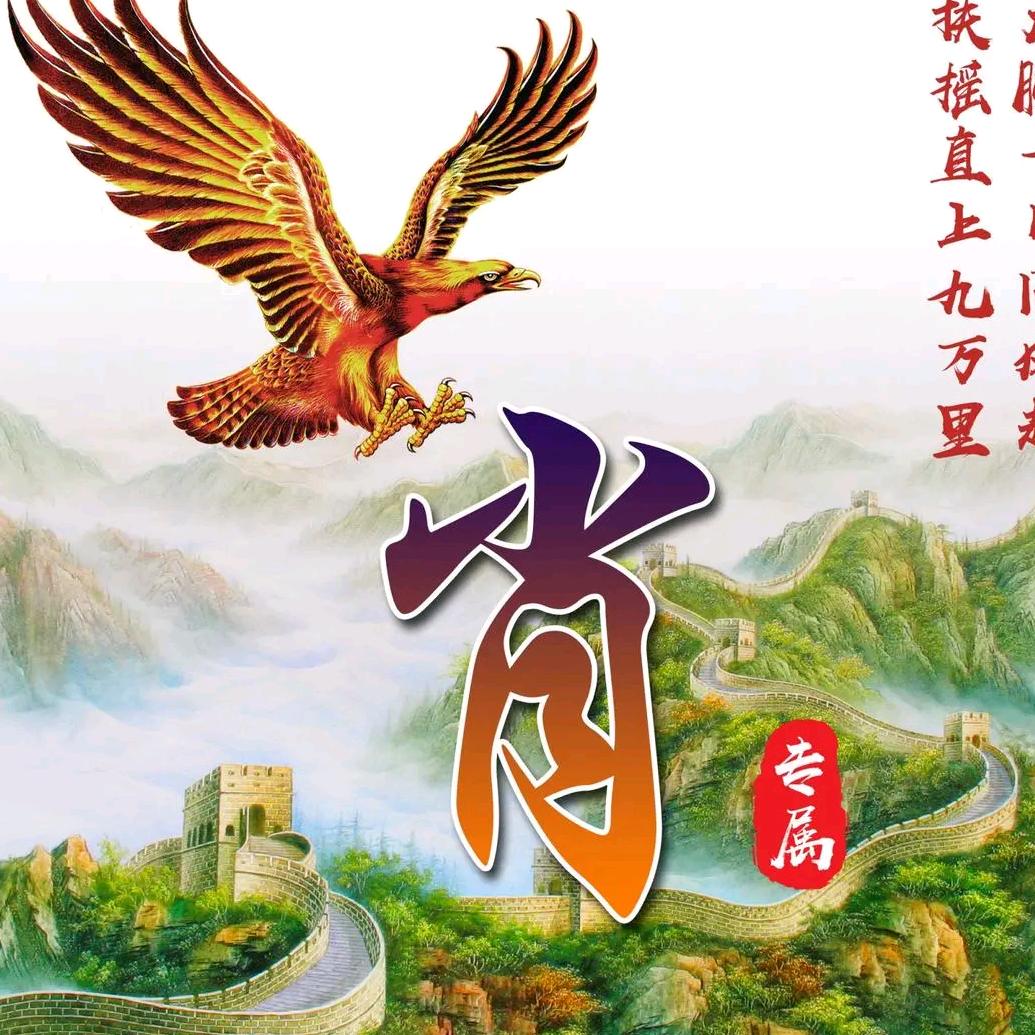 哈酒吃肉6+7