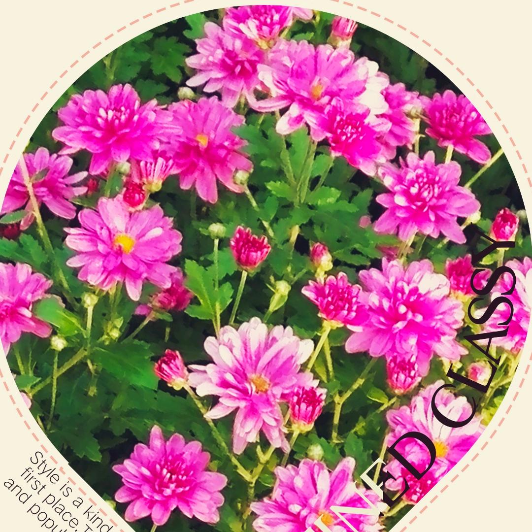 🌈spring🌈