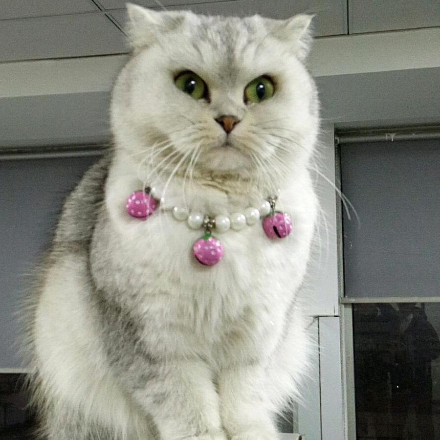 外向的孤独患者